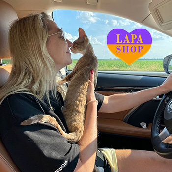 The Lapa Universe vlada y devon karamel