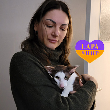 The Lapa Universe vyktoryya oryk