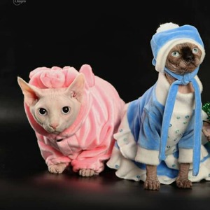 Сальваторе – очаровательный мальчик породы канадский сфинкс parents 1