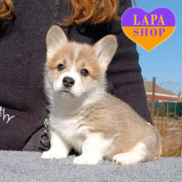 Tabata-la-Vita-al-Ritmo-01