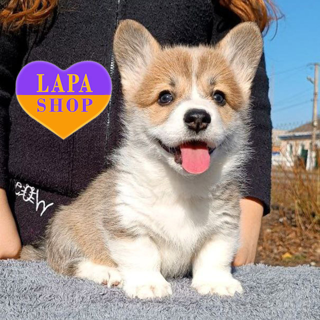 Tabata-la-Vita-al-Ritmo-03