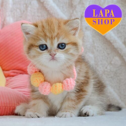 Wibi — британская красавица в роскошной мраморно-золотой шубке