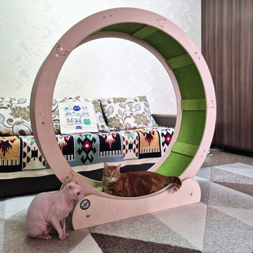 Разборное беговое колесо для кота с дорожкой-травкой диаметром 160 см + подарок