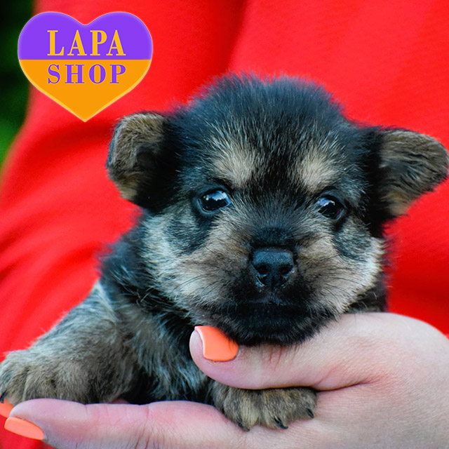 Elwin-Ruby-Slippers-03