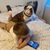 media thumbnail 1