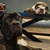media thumbnail 2