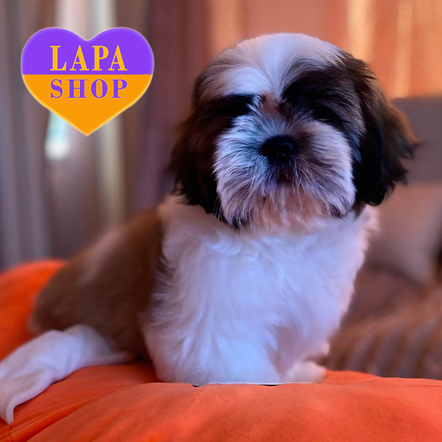 Vancouver-Woodland-Keeper-02