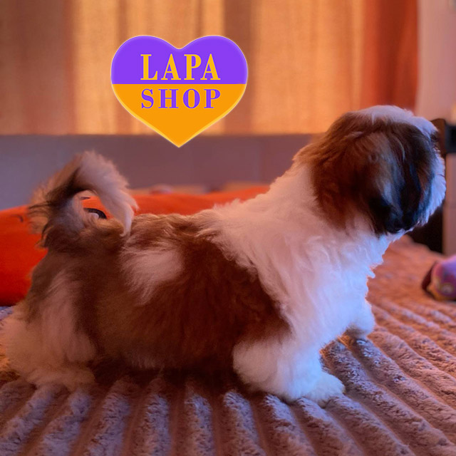 Vancouver-Woodland-Keeper-04