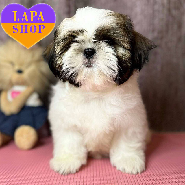 Verona-Love-To-Infinity-03