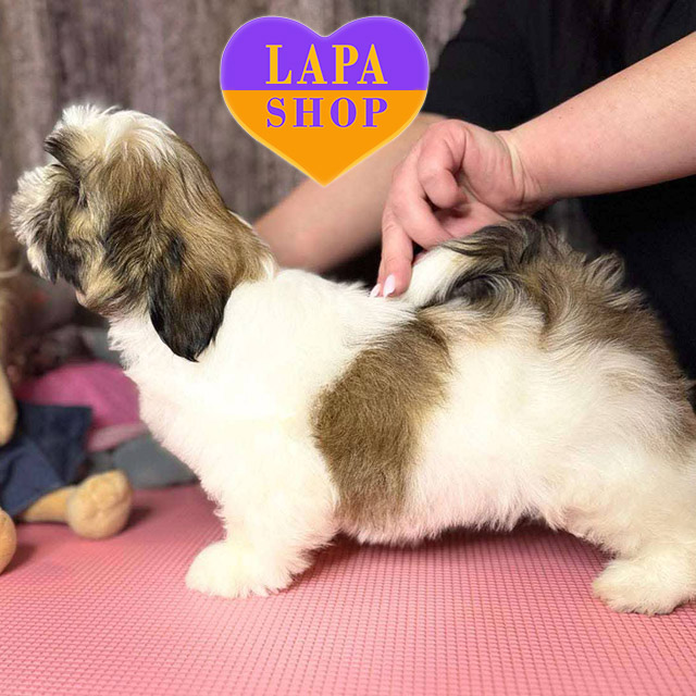 Verona-Love-To-Infinity-04