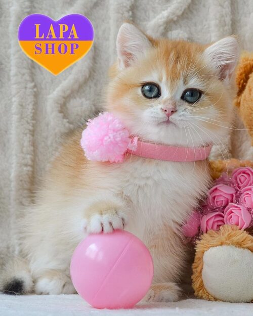 золотой британец