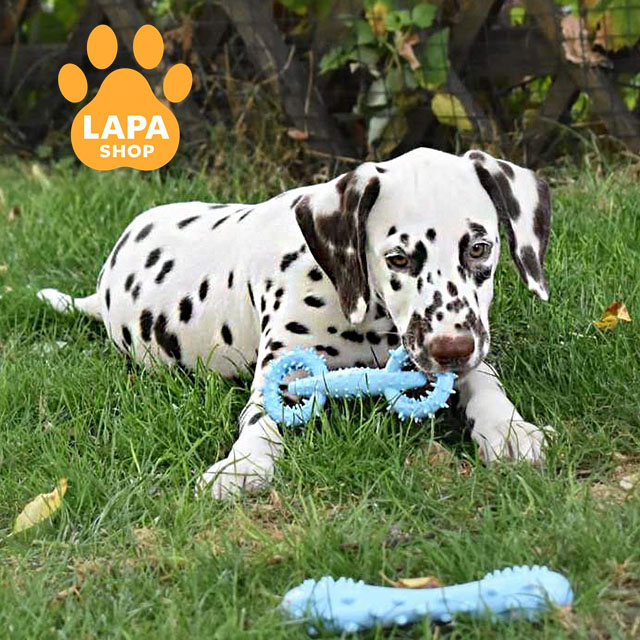 Addiction-to-Freedom-02