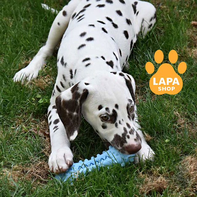 Addiction-to-Freedom-03