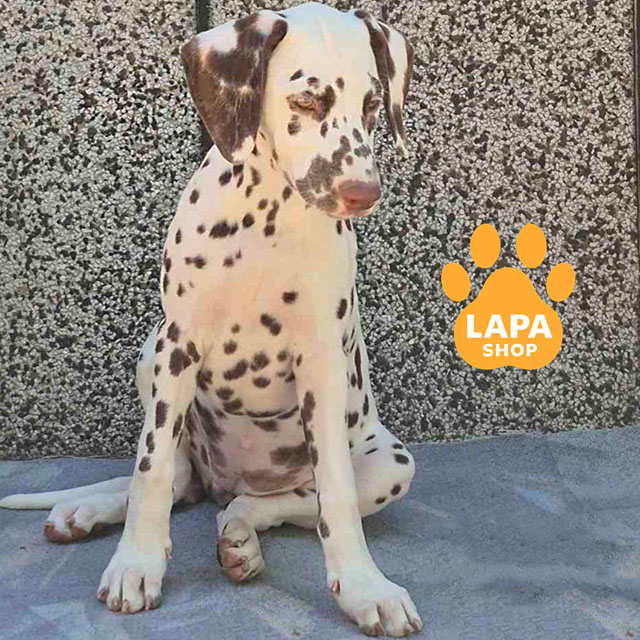 Addiction-to-Freedom-04