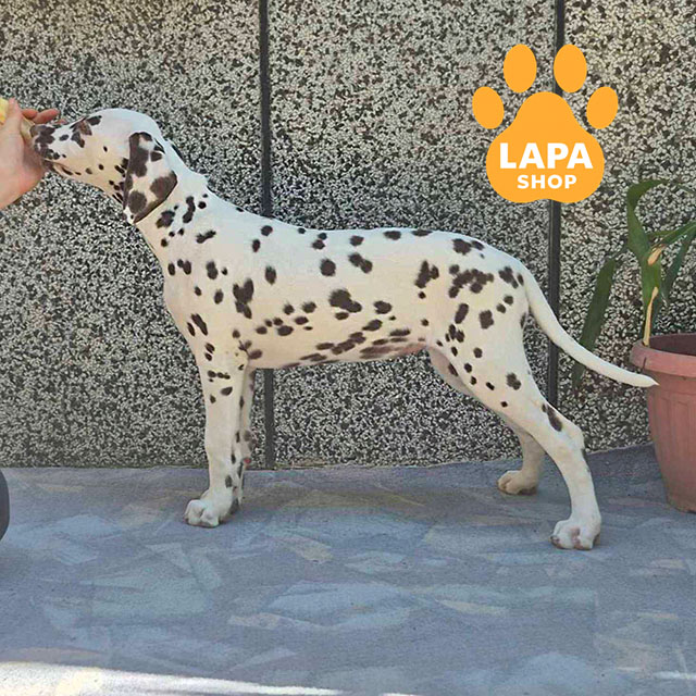 Addiction-to-Freedom-05