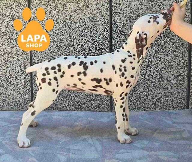 Addiction-to-Freedom-06