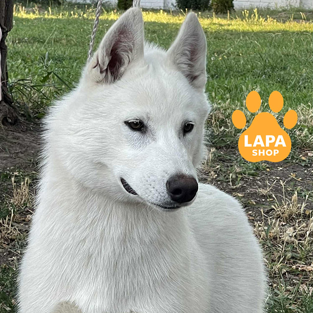 Courage-Of-My-Soul-02