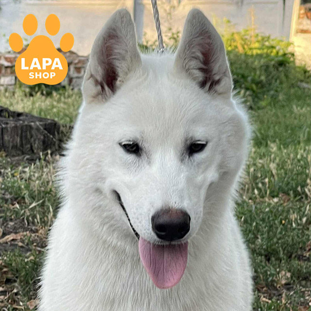 Courage-Of-My-Soul-03