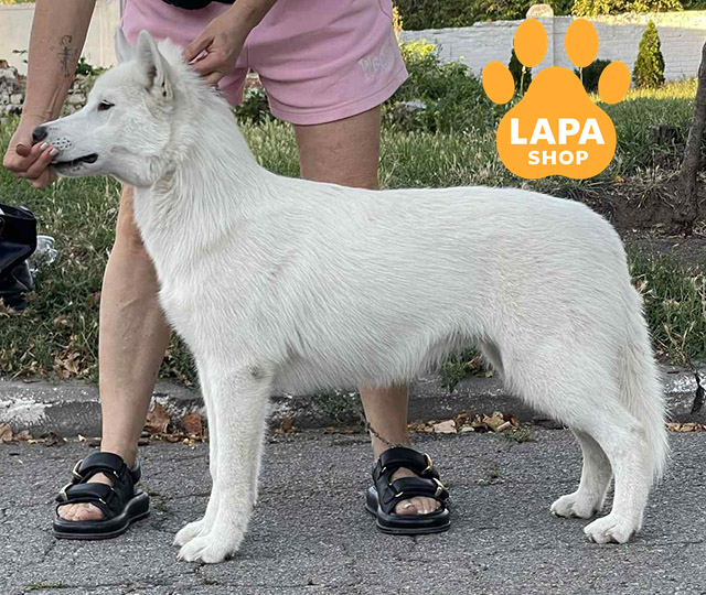 Courage-Of-My-Soul-04