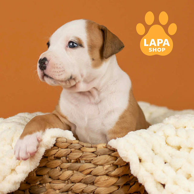 Best-Heavenly-Shine-04