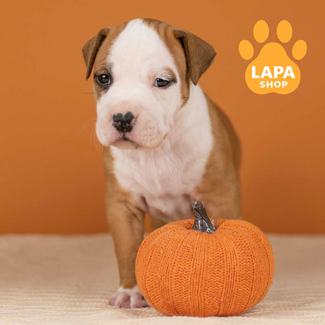 Best-Heavenly-Shine-05