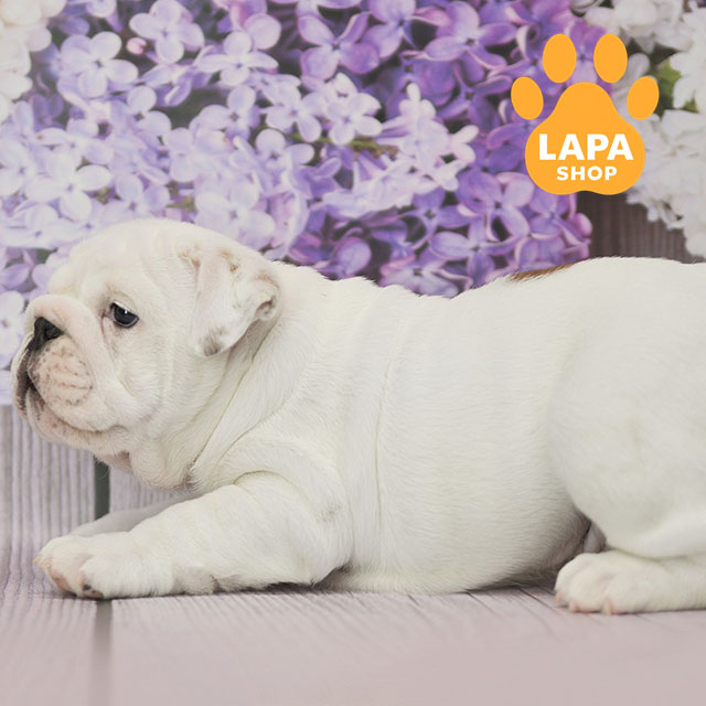 Chumatskyi-Shliakh-05