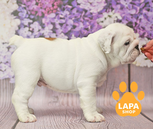 Chumatskyi-Shliakh-06