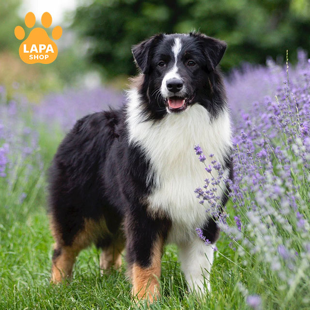 Illuminated-By-Night-02