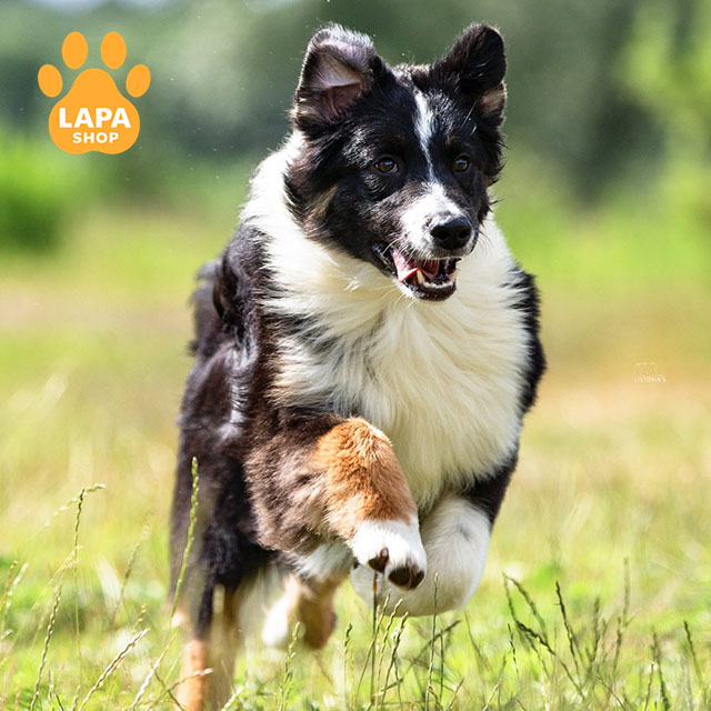 Illuminated-By-Night-03