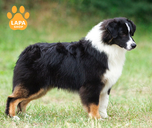 Illuminated-By-Night-04