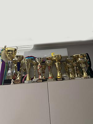 Элегантная кошечка породы мейн-кун с изысканным черепаховым окрасом Kleopatra mco dad00