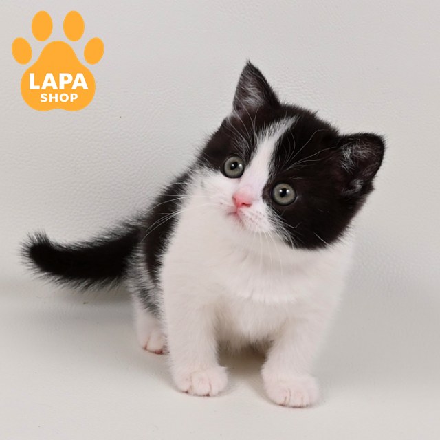 mia (2)