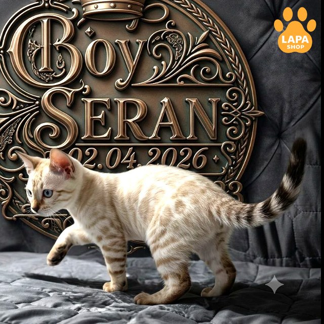 seran5